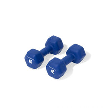 Load image into Gallery viewer, Neo Hex Dumbbells - PAIR
